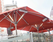 parasol tout options